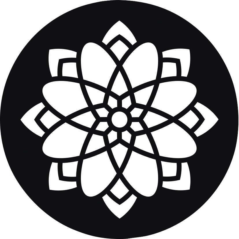 Lot de 12 pochoirs ronds Mandala
