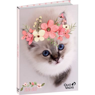 Agenda POTES A PATTES assorti