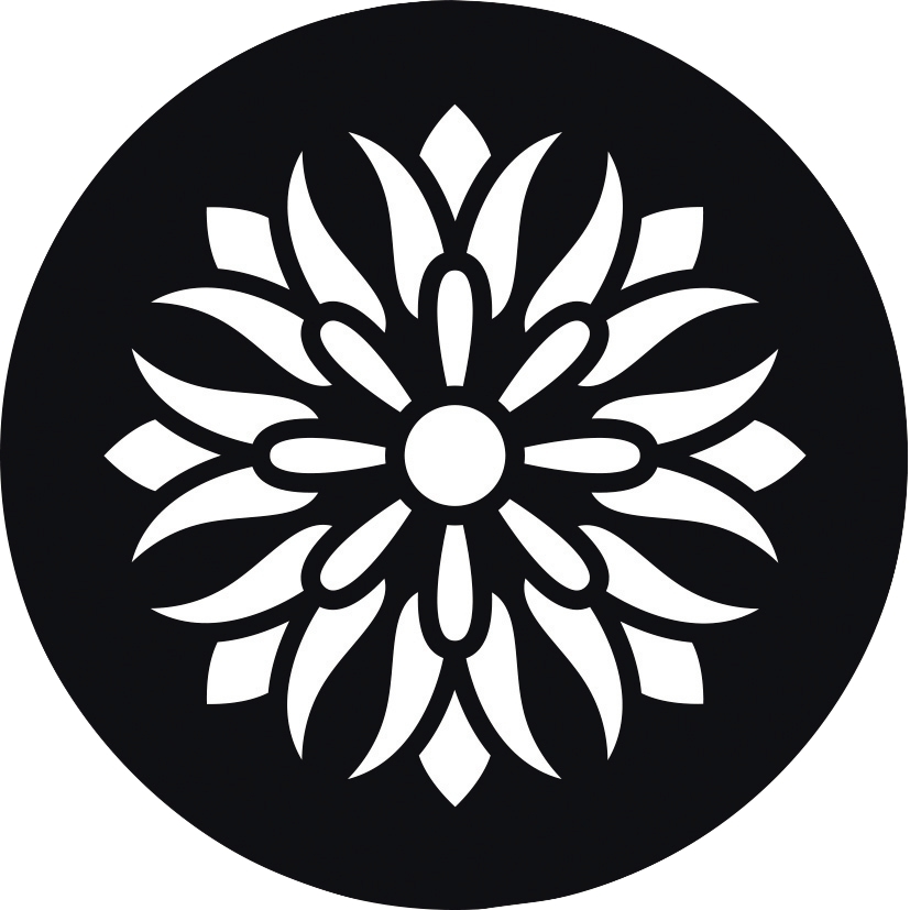 Lot de 12 pochoirs ronds Mandala