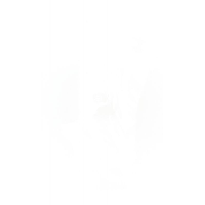 Visuel