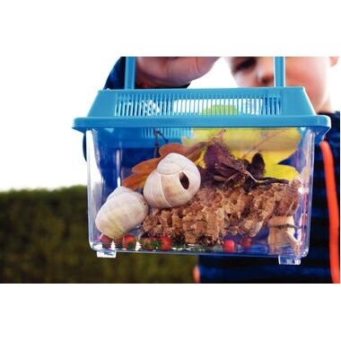 Carton de 2 boites à insectes en plastique
