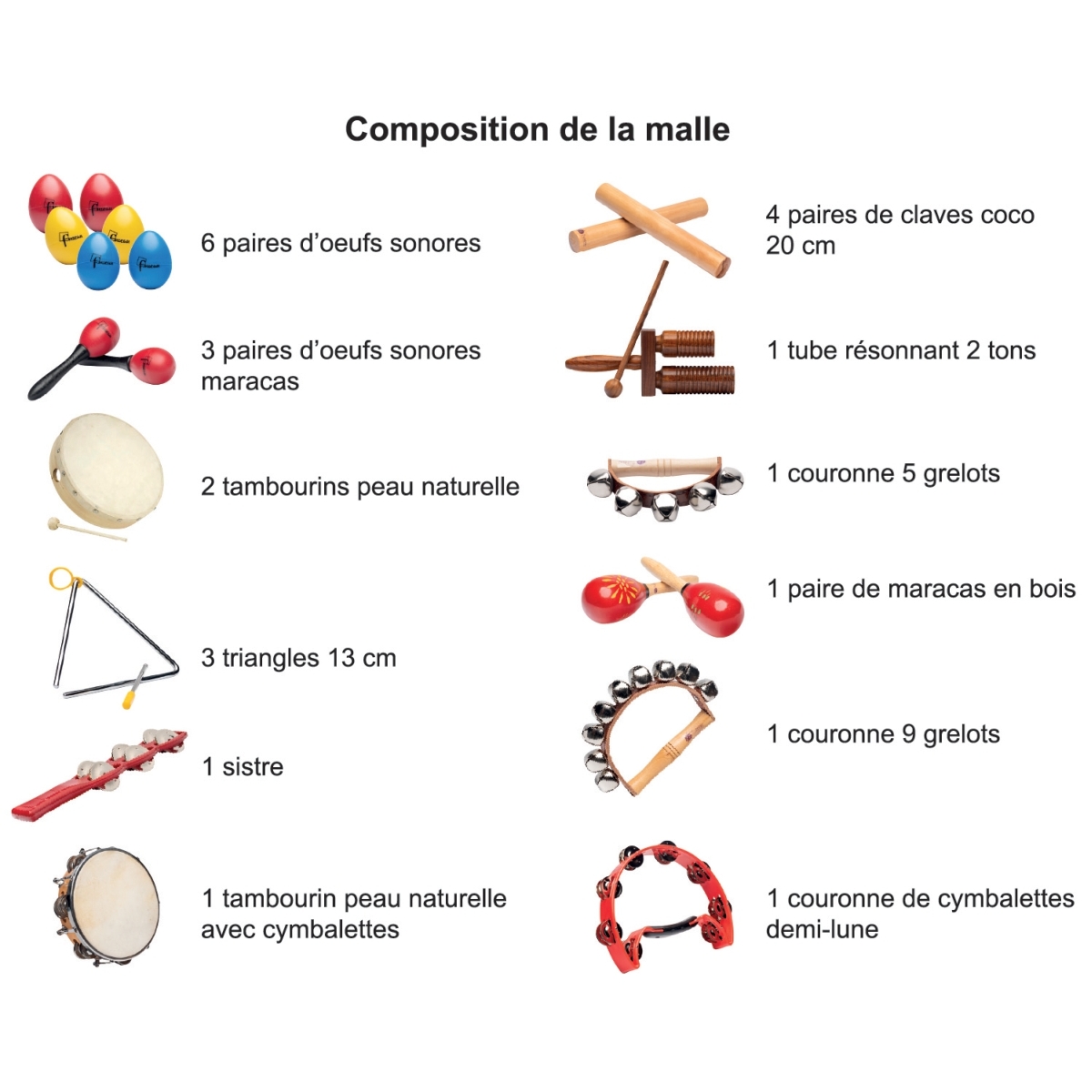 Malle de 25 instruments des apprentis musiciens